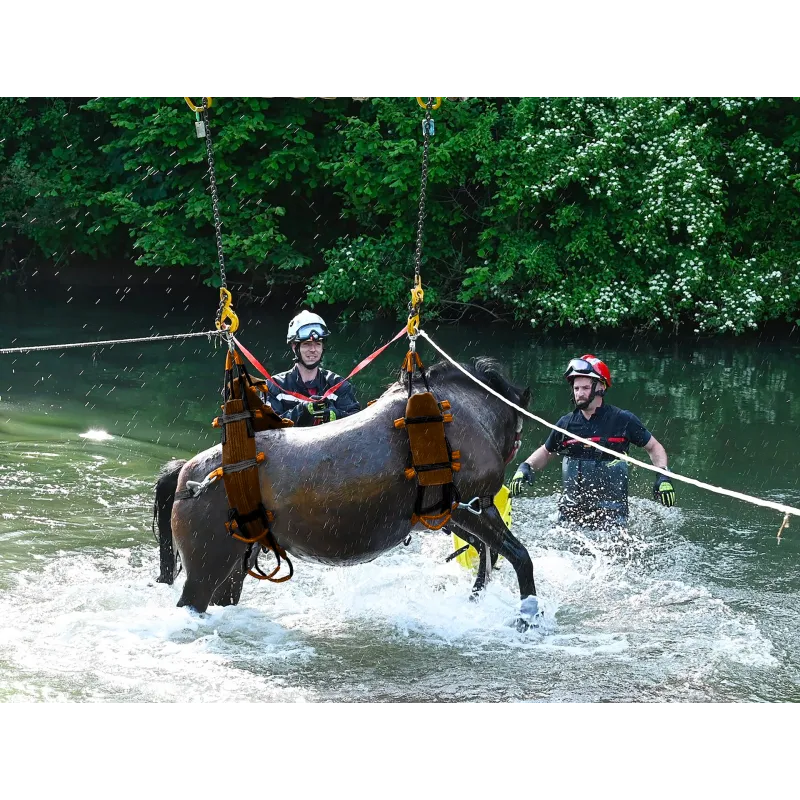 anisecours-situation