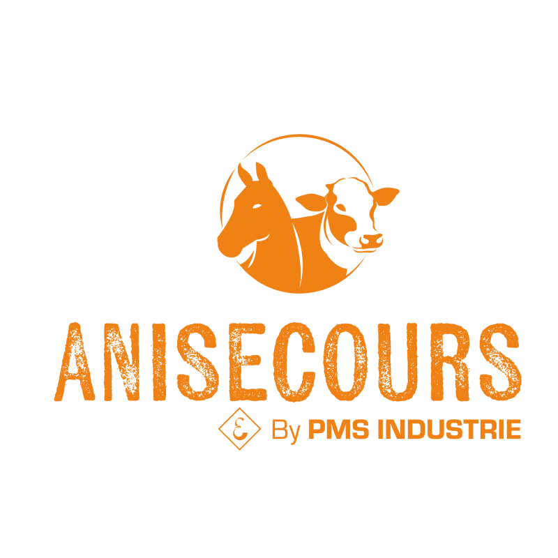 LOGO-Anisecours-07