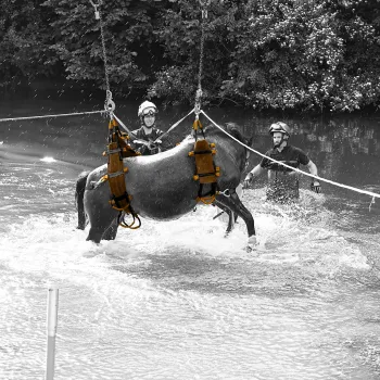 Segnalazione di emergenza