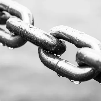 Stainless steel slings